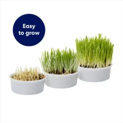 Frisco Natural Cat Grass Growing Kit -Frisco Sales Store 944102 PT4. AC SS1800 V1701364932