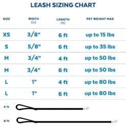 Frisco Padded Nylon No Pull Dog Harness & Frisco Traffic Leash With Padded Handles & Poop Bag Dispenser -Frisco Sales Store 947622 PT6. AC SS1800 V1693924198