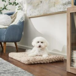 Frisco Double Door Furniture Style Dog Crate, Black & Frisco Swirl Dog Crate Mat -Frisco Sales Store 947710 PT5. AC SS1800 V1693921603