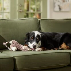 Frisco Monkey Plush With Rope Squeaky Dog Toy & Frisco Cow Plush With Inside Rope Squeaky Dog Toy -Frisco Sales Store 961998 PT4. AC SS1800 V1694784009