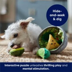 Frisco Trash Can & Raccoons Hide & Seek Puzzle Plush Squeaky Dog Toy & Frisco Guacamole Hide & Seek Puzzle Plush Squeaky Dog Toy -Frisco Sales Store 962062 PT8. AC SS1800 V1694783037
