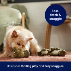 Frisco Volcano Hide & Seek Puzzle Plush Squeaky Dog Toy Refills, 3 Count & Frisco Volcano Hide & Seek Puzzle Plush Squeaky Dog Toy 13 Frisco Volcano Hide & Seek Puzzle Plush Squeaky Dog Toy Refills, 3 Count & Frisco Volcano Hide & Seek Puzzle Plush Squeaky Dog Toy -Frisco Sales Store 962078 PT4. AC SS1800 V1694782978