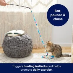 Frisco Fabric Teaser Wand Cat Toy & Frisco Bird With Feathers Teaser Wand Cat Toy With Catnip -Frisco Sales Store 962094 PT3. AC SS1800 V1694782977