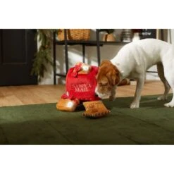Frisco Holiday Hot Cocoa Hide & Seek Puzzle Plush Squeaky Dog Toy & Frisco Holiday North Pole Mailbox Hide & Seek Puzzle Plush Squeaky Dog Toy -Frisco Sales Store 986166 PT8. AC SS1800 V1698258533