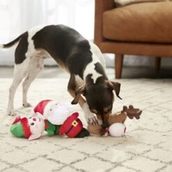 Frisco Holiday Santa's Helpers Plush Squeaky Dog Toy, 3 Count & Frisco Holiday Tree Thin Plush Squeaky Dog Toy 12 Frisco Holiday Santa's Helpers Plush Squeaky Dog Toy, 3 Count & Frisco Holiday Tree Thin Plush Squeaky Dog Toy -Frisco Sales Store 986222 PT4. AC SS1800 V1698258463