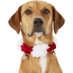 Frisco Holiday Dog & Cat Santa Hat, 1 Count & Frisco Jingle Bells Dog & Cat Holiday Collar With Bells, 1 Count -Frisco Sales Store 986254 PT7. AC SS1800 V1698258115