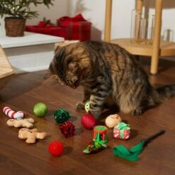Frisco Holiday Festive Red Variety Pack Gift Box Cat Toy With Catnip, 14 Count & Frisco Holiday Mice Cat Toy With Catnip, 5 Count -Frisco Sales Store 986270 PT4. AC SS1800 V1698258464